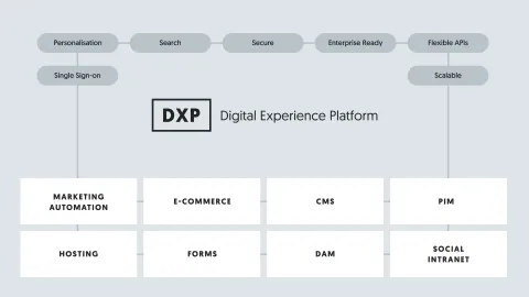 Digital Experience Platform from 1xINTERNET and the products
