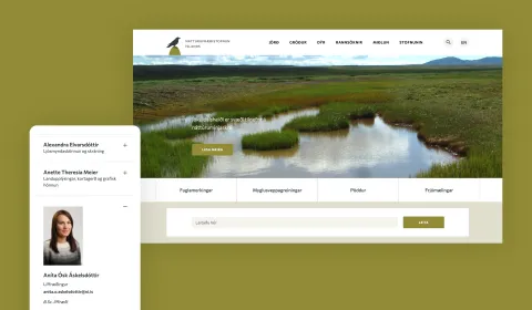 Screenshot der Ní Homepage