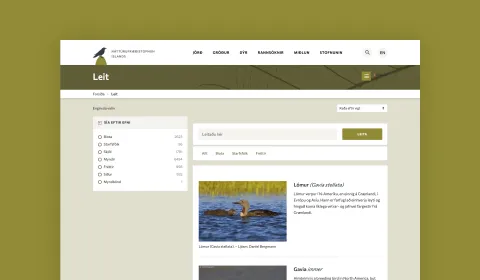 On-Site-Suchfunktion auf der Ní-Website