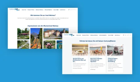 Screenshot showing trips overview page on BSB website