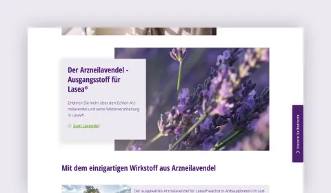 Screenshot showing product teaser on the Lasea website