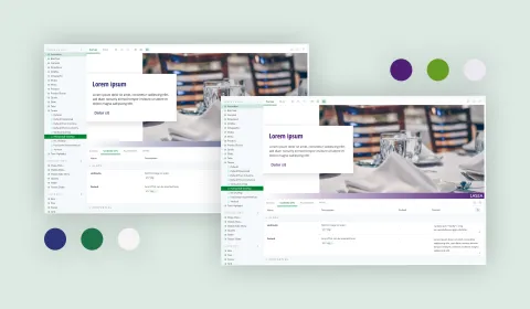 Screenshot showing design system layout on the Schwabe website