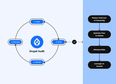 Our custom approach to Drupal audits