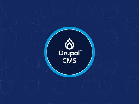 Drupal CMS logo on a blue patterned background