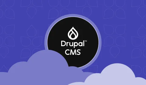 Drupal CMS logo on a lilac patterned background