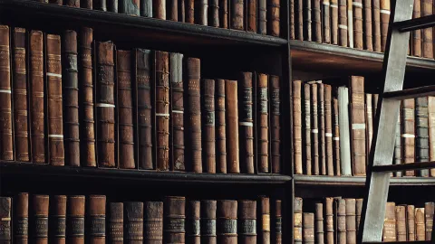 1x Case Study Teaser Arni