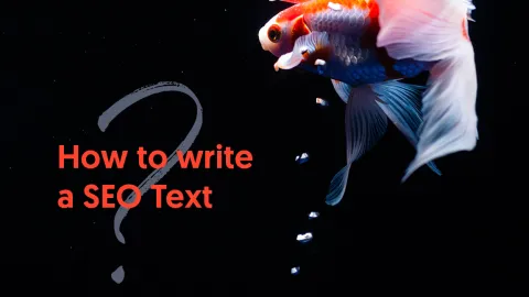 Image 1x_blog_posts_seo-texte_en