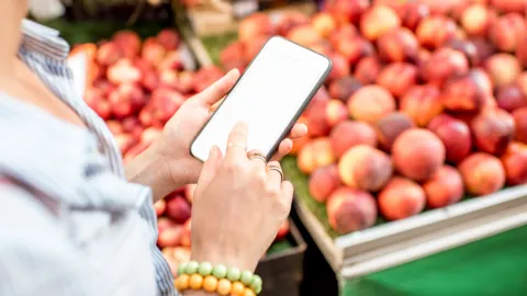 Person using smartphone next to fruit stand